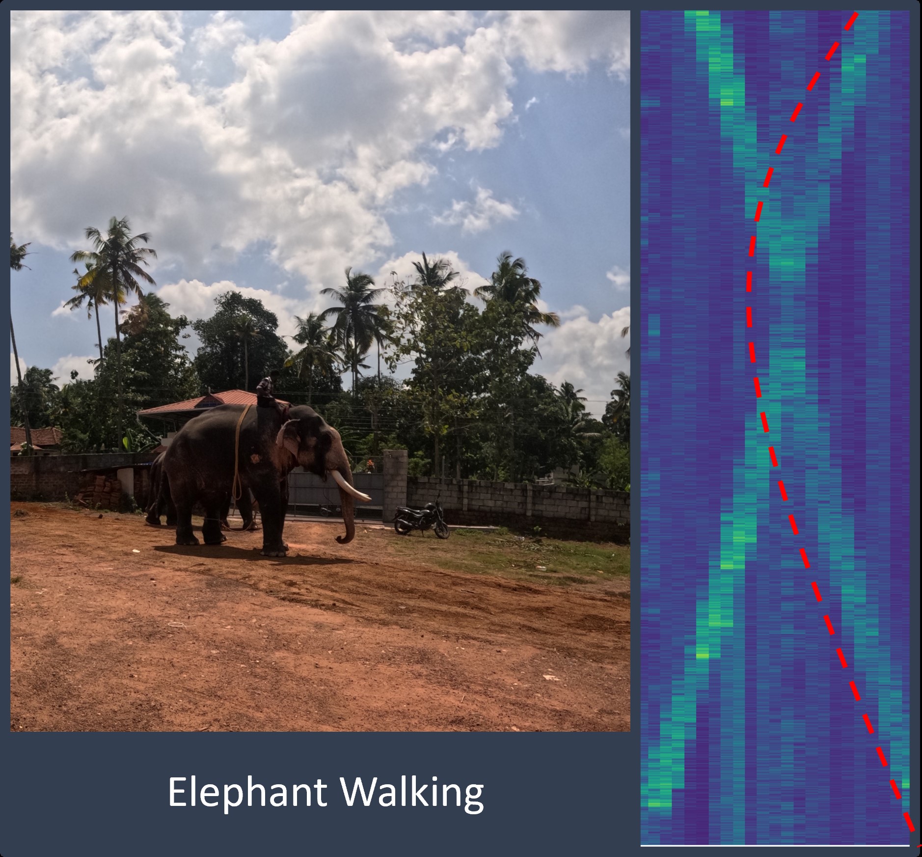 Elephant Detection