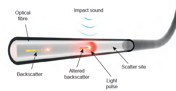 Fiber sensor
