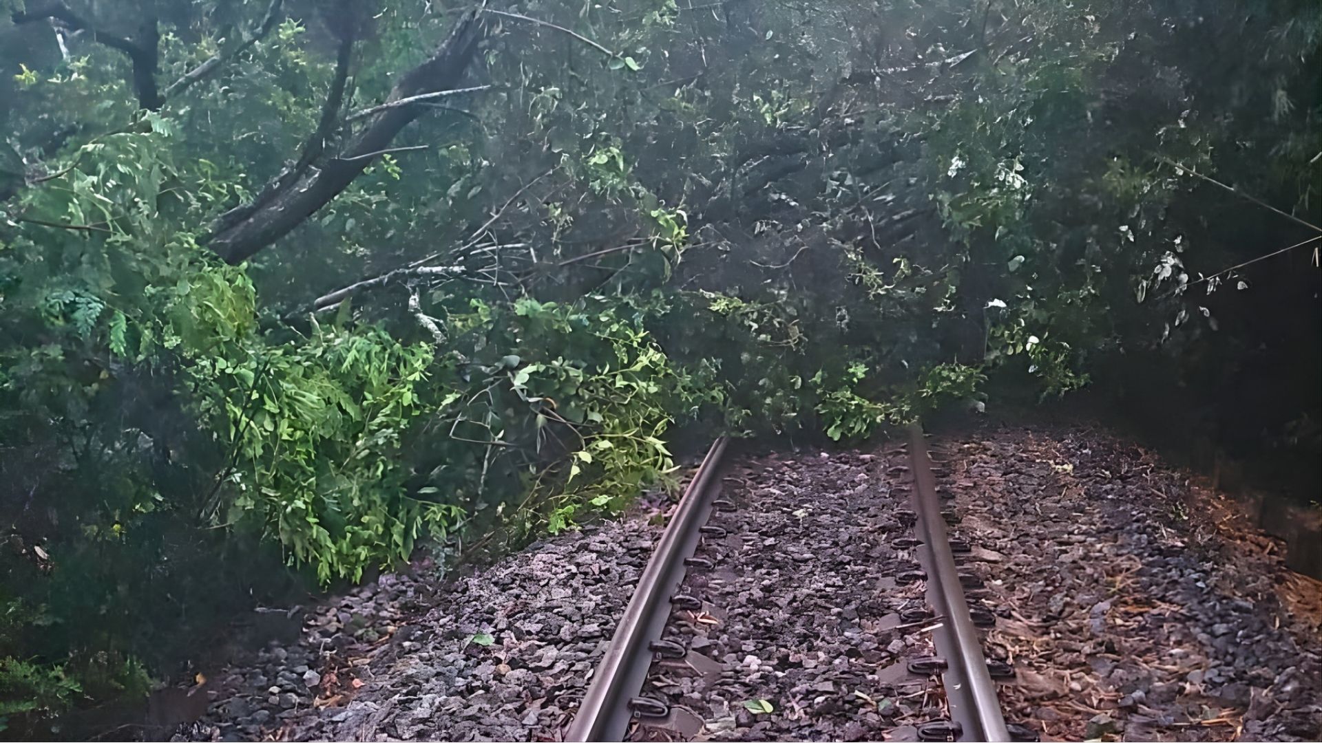 Sounding Out Rail Safety with Natures Noises